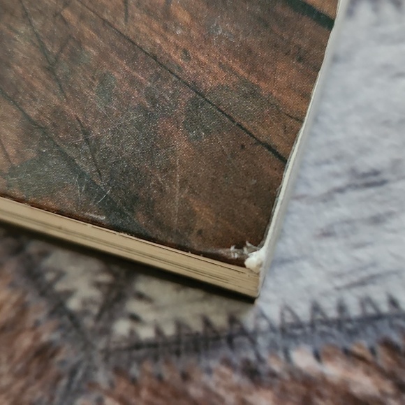 Polaroids Weimaraner Art Book - Picture 9 of 11